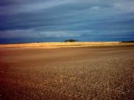 Field near Portmahomack